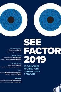 Взгляд изнутри: Сараево, любовь моя (2019)