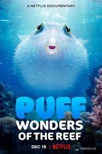   Чудеса кораллового рифа (2021)