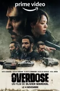   Передозировка (2022)