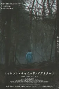 Видеозапись исчезновения ребёнка (2024)